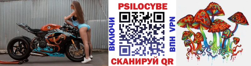 Псилоцибиновые грибы MAGIC MUSHROOMS купить наркотики сайты Серпухов